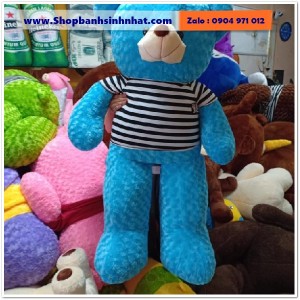 Gấu Bông Teddy Hàn Quốc - GAU12